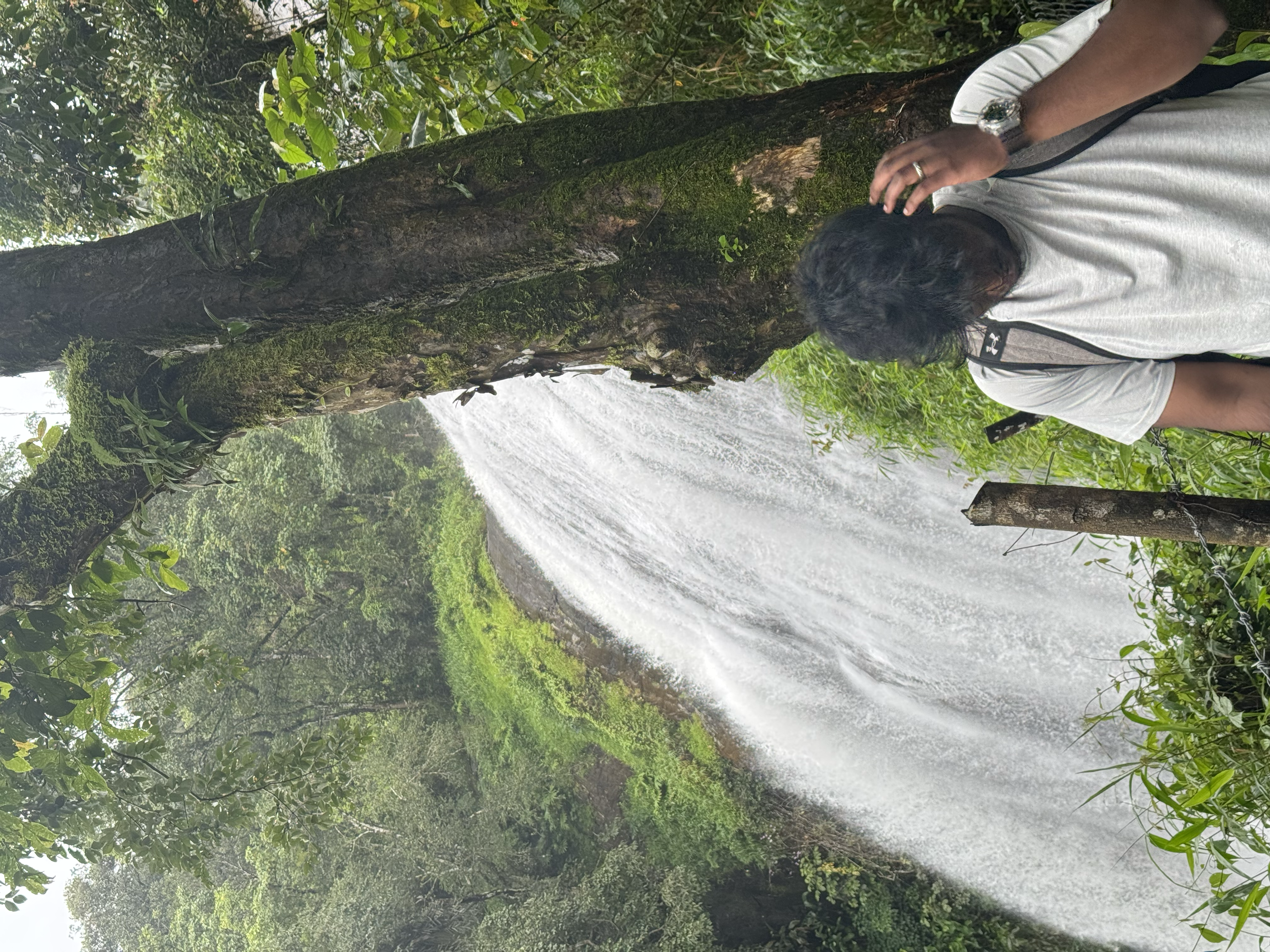 Ashwin landscape moment